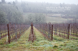 IM48 winefeature