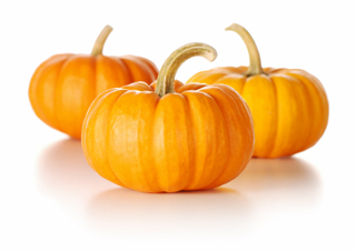 ontap_pumpkin_320w