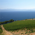 im23_bonus_island2_120x120