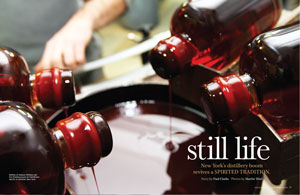 Feature nydistill 200x3300