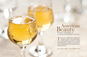 im39_feature_vermouth