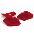 2009_rosepetals_120x120