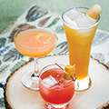 IM48 Elements-IPA-cocktails 120x120