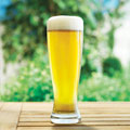 ontap_lowbeer_120x120