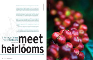 ontap_ct_heirloomcoffee_300x195