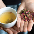 ontap_ct_mixtea_120x120