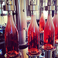 ontap Rose-Production-Methods 120x120