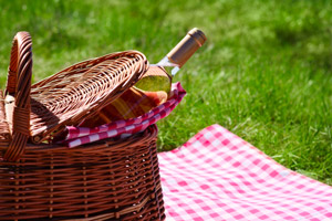 ontap picnic-pairings