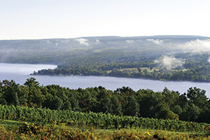 ontap w finger-lakes