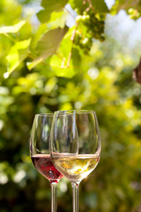 ontap w paso-robles-wines