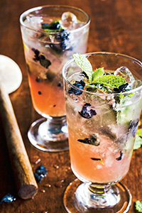 recipe c Mint-Cobbler
