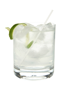 recipe_c_ginrickey_291x412