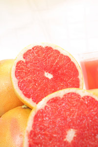 recipe c grapefruitcordial