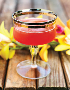 recipe_c_wickedwahine_234x300