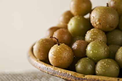 recipe_f_scuppernong_jelly