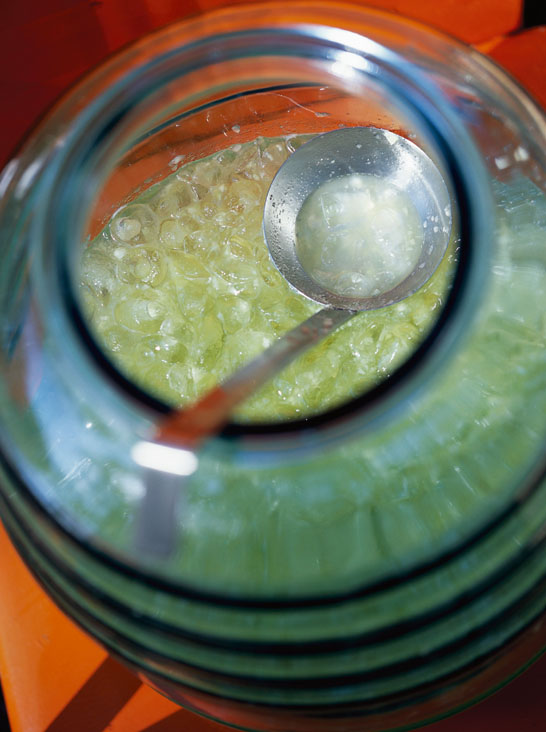 recipe_agua_fresca_honeydew