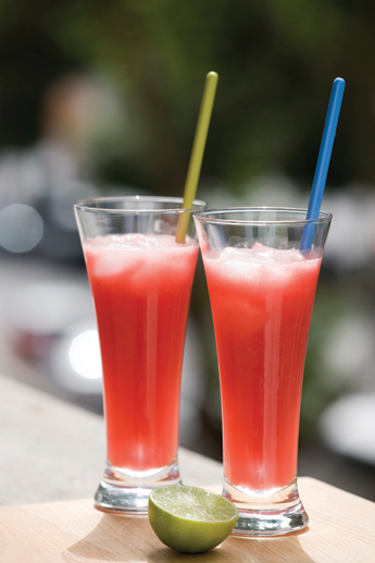 recipe_watermelon_mint_fresca