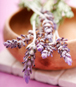 IM20_bonus_lavendar_76x87